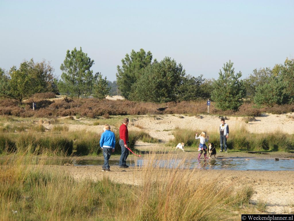 Dit ven ligt op Landgoed Bosch en Duin bij Udenhout. Tips: De mooiste natuurgebieden in Zuid-Nederland..